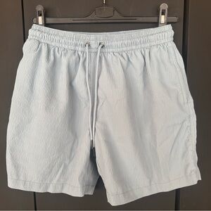 Chubbies Sky Blue Textured Shorts